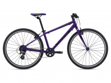Велосипед GIANT ARX 26 (2021)